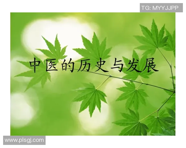 万隆与河内的文化交汇与发展探讨:历史背景与未来展望 万隆与河内的文化交汇与发展探讨:历史背景与未来展望